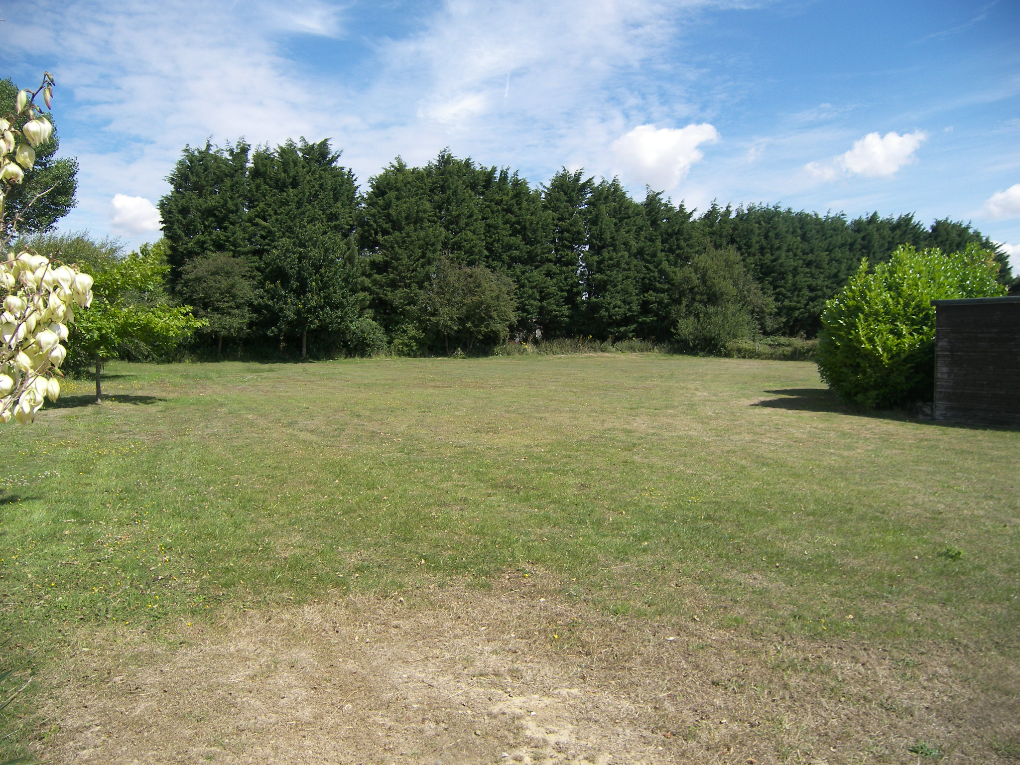 Picture 113.jpg